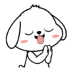 Lovely White Dog 2 .MOV 14