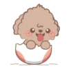 Brown Puppy .MOV 10