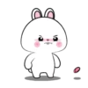 Vanilla Rabbit 4 MOV. 14