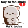 Shakira bzrp ️Mochis 14
