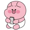 Baby cute pig 12