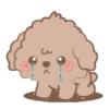 Brown Puppy .MOV 12