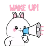 Vanilla rabbit 5 MOV 12
