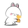 Vanilla Rabbit 4 MOV. 18
