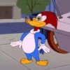 ️PAJARO LOCO ️ 18