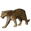 Animales 1 Movi 14