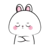 Vanilla Rabbit 4 MOV. 19