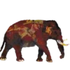 Animales 1 Movi 15