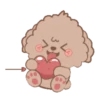 Brown Puppy .MOV 14