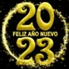 Felices fiestas 2023 Año nuevo 24
