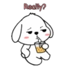 Lovely White Dog 2 .MOV 20