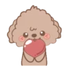 Brown Puppy .MOV 17