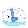 ️ ️Polar Bear Leo .MOV 14