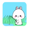 Vanilla rabbit 5 MOV 15