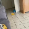 Bebés cute niña ️ 20