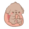 Brown Puppy .MOV 18