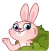 Mia Bunny 17