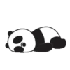 Pandas: Eric .MOV 16