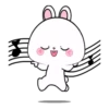 Vanilla rabbit 5 MOV 18