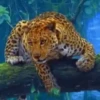 Animales 1 Movi 24