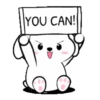 Lovely White Dog 5 .MOV 17