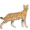 Animales 1 Movi 25