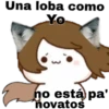 Shakira bzrp ️Mochis 25