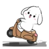 Lovely White Dog 5 .MOV 20