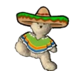 Viva México 3 Movi 28