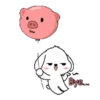 Lovely White Dog 2 .MOV 23