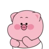 Baby cute pig 18