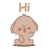 Brown Puppy .MOV 22