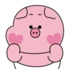 Baby cute pig 19