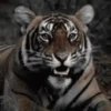 Animales 1 Movi 29