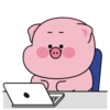 Baby cute pig 20
