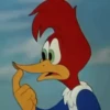 ️PAJARO LOCO ️ 27