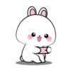 Vanilla rabbit 4 MOV 21
