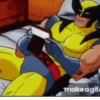Wolverine ️ 1 Movi 29