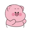 Baby cute pig 22