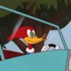 ️PAJARO LOCO ️ 28