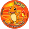 Tazos Pokemon 1G-1  . clas 29