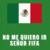 Viva México 2 Movi 6