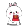 Vanilla rabbit 1 MOV 5