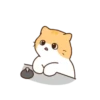 Cat baby lovely 5