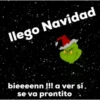 NAVIDEÑO PERO NO TANTO MOV 14