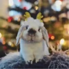 Conejitos Navideños 1 8