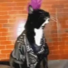 michis .mov 9