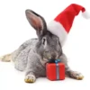 Conejitos Navideños 1 10