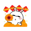 Hyper Rabbit Celebrate MOV. 10