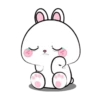 Vanilla Rabbit MOV. 8